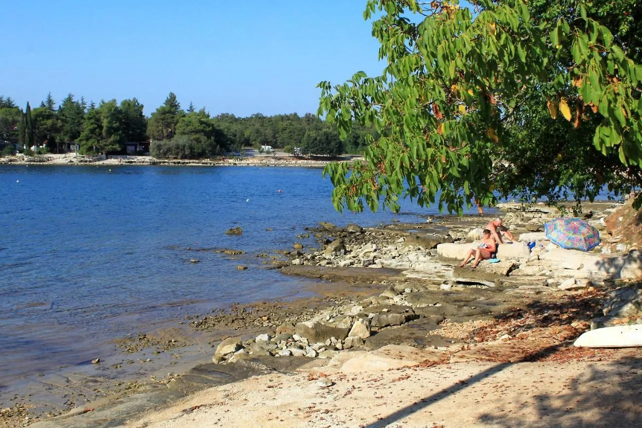 Apartments By The Sea Sveti Ivan, Umag - 9692